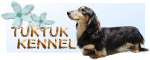 トゥクトゥクケンネルはコチラ